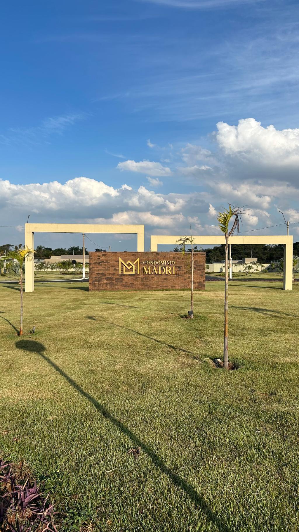 Imagem do lançamento